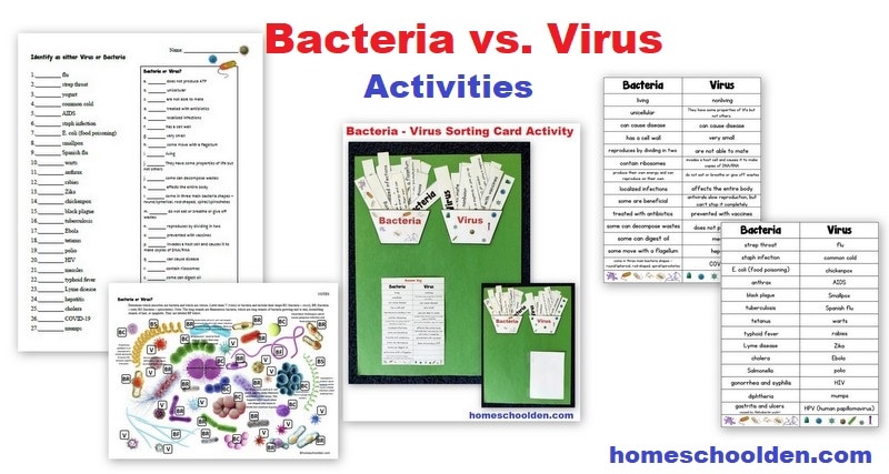 Bacteria and Viruses Activities