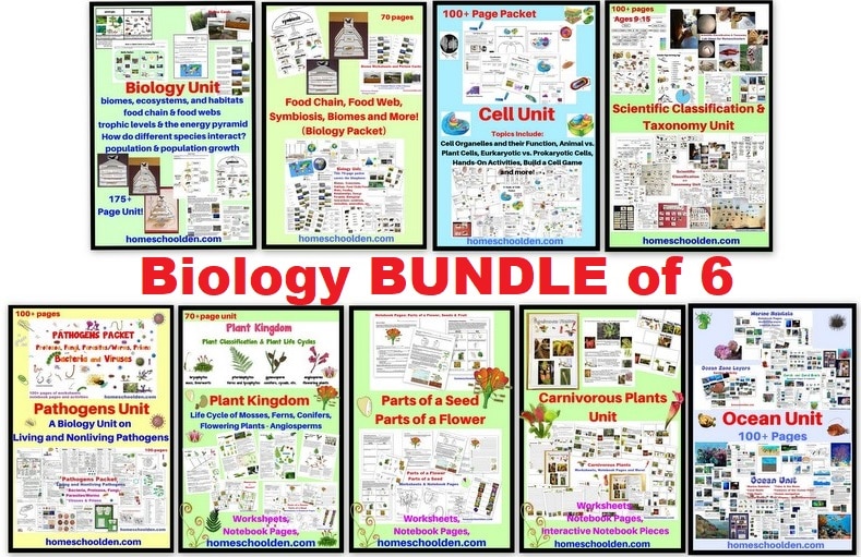 Biology BUNDLE - Biology Unit Cell Unit Scientific Classification and Taxonomy Unit Botany Unit Pathogens Unit Ocean Unit