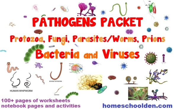 Pathogens Packet - bacteria viruses worksheets activities