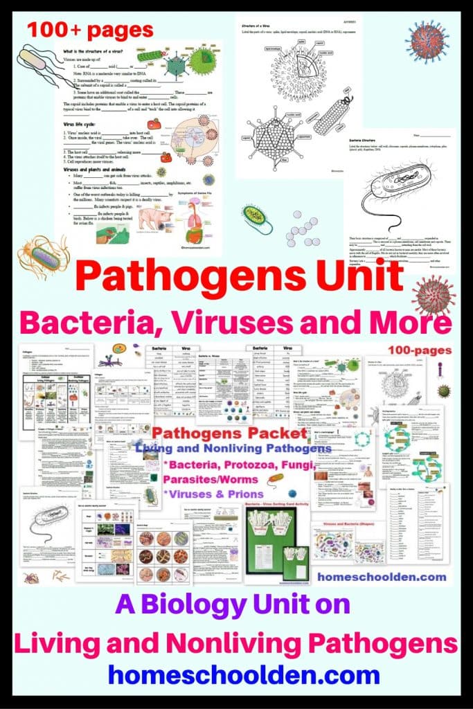 Pathogens Packet – Bacteria Viruses Protozoa Fungi Parasites and Prions ...
