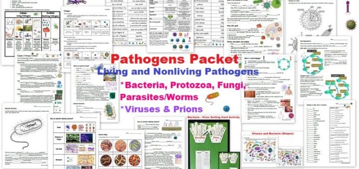 Pathogens Worksheet Packet - bacteria viruses protozoa fungi parasites prions