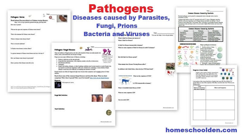 Pathogens Activity Worksheets