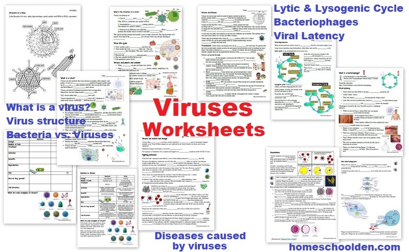 Viruses Worksheets