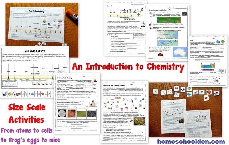 Chemistry Worksheets on Size and Scale of atoms cells and more