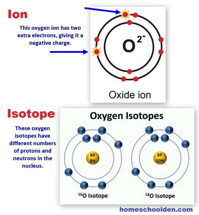 How is an ion different from an isotope?