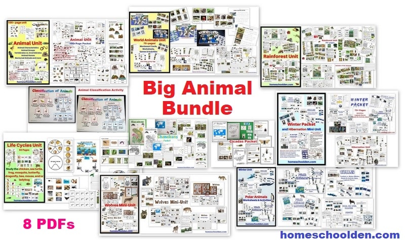 Big Animal Bundle - 8 PDF Packets