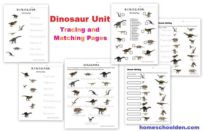 Dinosaur Unit - Tracing and Matching Pages