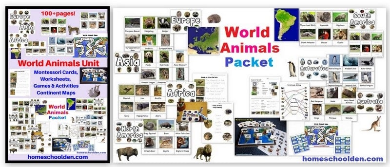 World Animal Packet - Europe Asia Africa North America South American Australia Antarctica