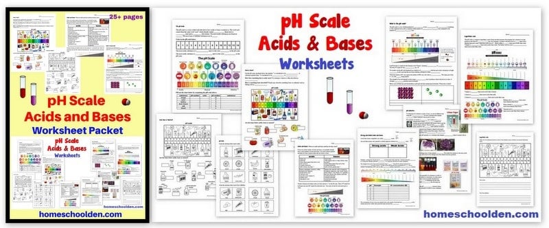 Acids - Bases - pH Scale Worksheet Packet