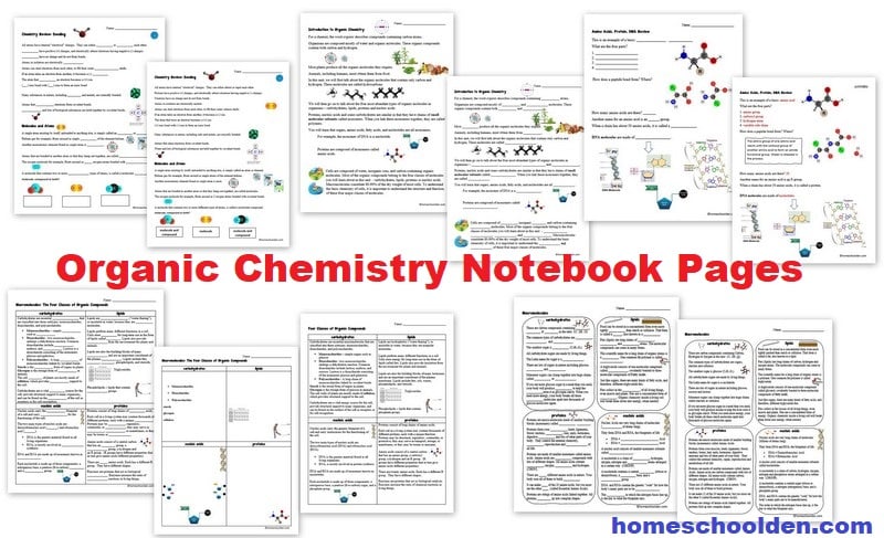Organic Chemistry Notebook Pages