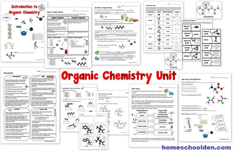 Organic Chemistry Unit - Worksheets and Notebook Pages