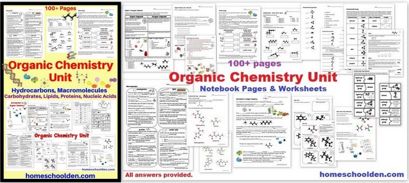 Organic Chemistry Unit - worksheets on hydrocarbons macromolecules and more