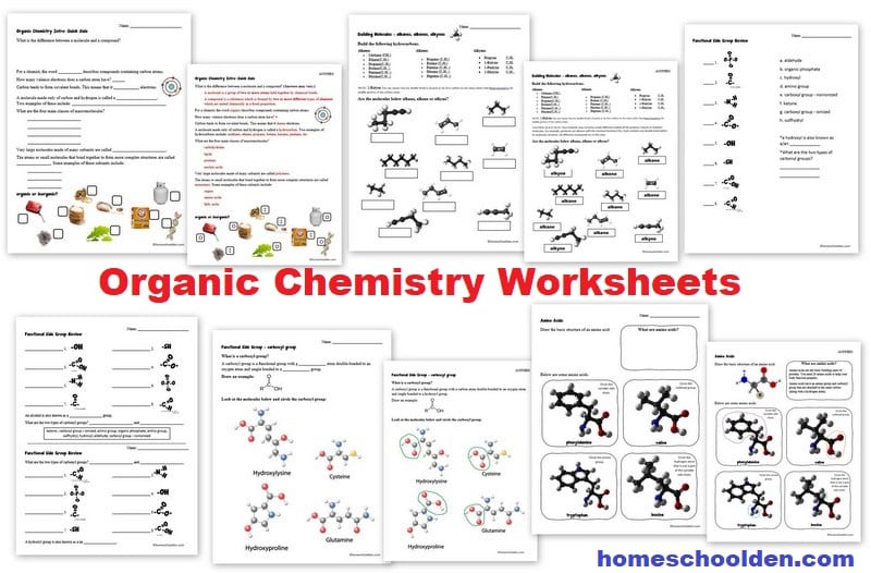 Organic Chemistry Worksheet