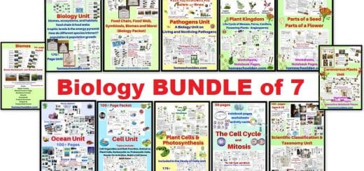 Biology BUNDLE of 7 - cells biology pathogens oceans taxonomy mitosis and more