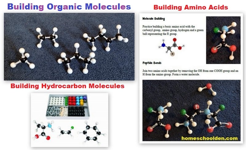 Building Organic Molecules - hydrocarbons - amino acids