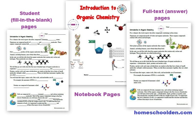 Introduction to Organic Chemistry Notebook Pages Worksheets