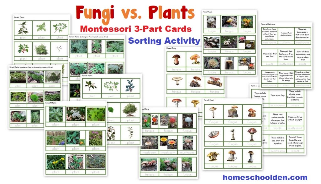 Fungi vs Plants Montessori 3-Part cards - Sorting Activity