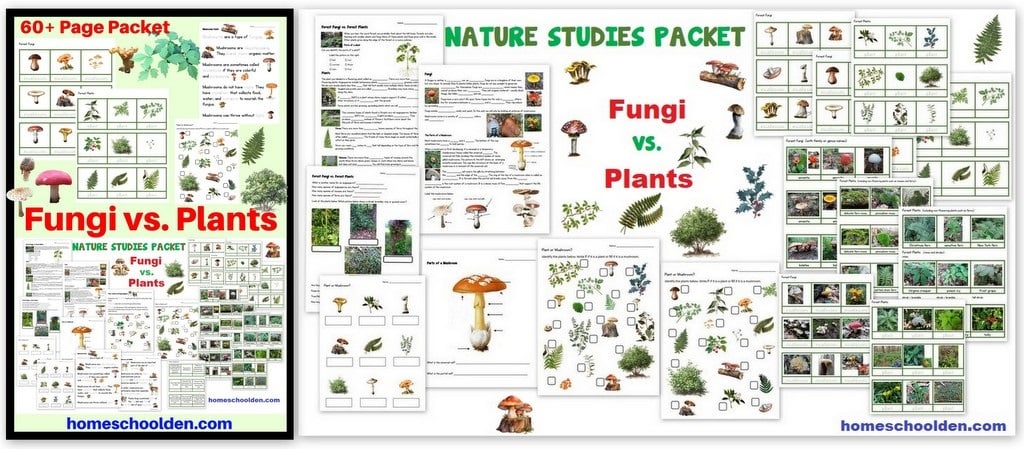 Fungi vs Plants - Montessori Cards Worksheets Notebook Pages