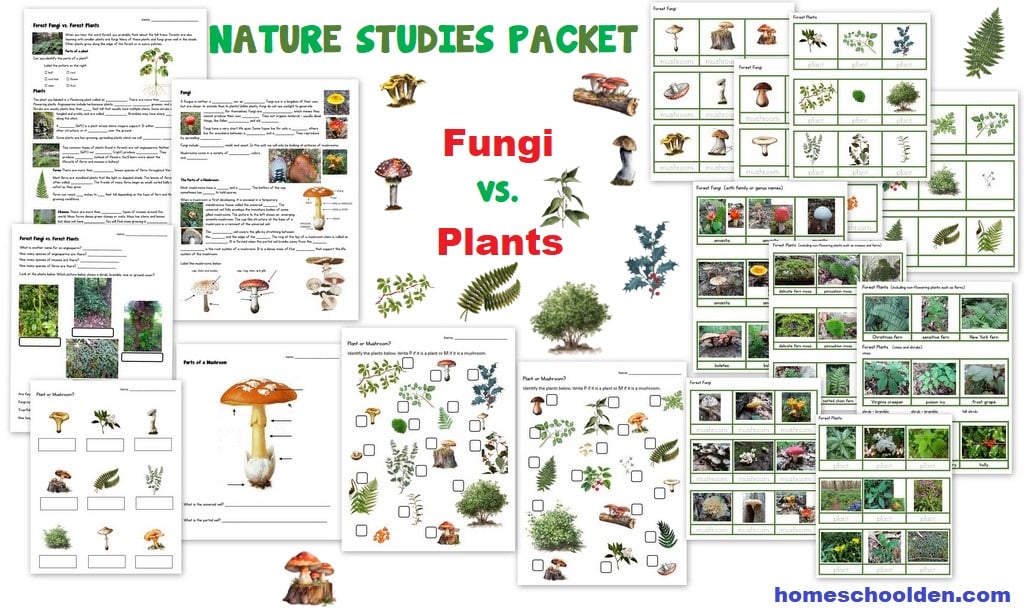 Fungi vs Plants Worksheets - Montessori 3-part Cards