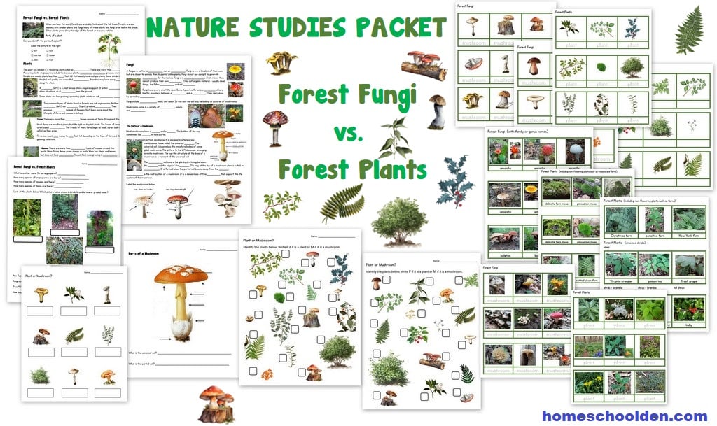 Fungi vs Plants Worksheets and Sorting Cards