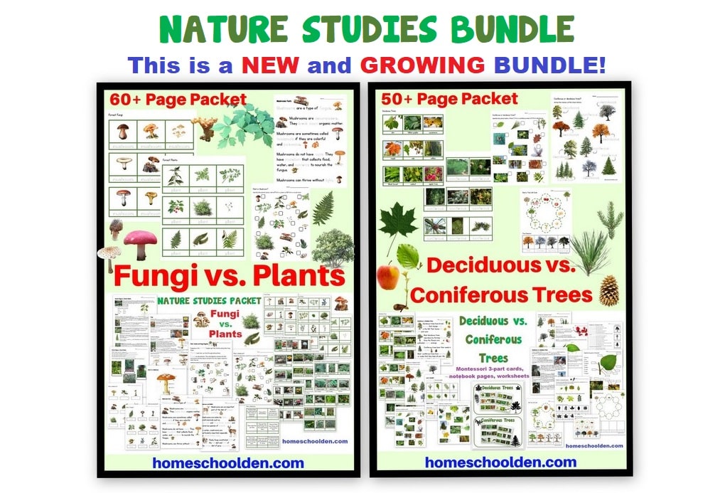 Nature Studies BUNDLE of 2