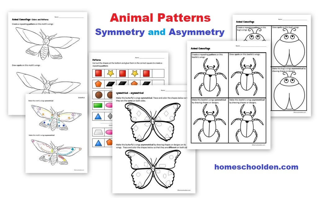 Animal Patterns - symmetry and asymmetry worksheets