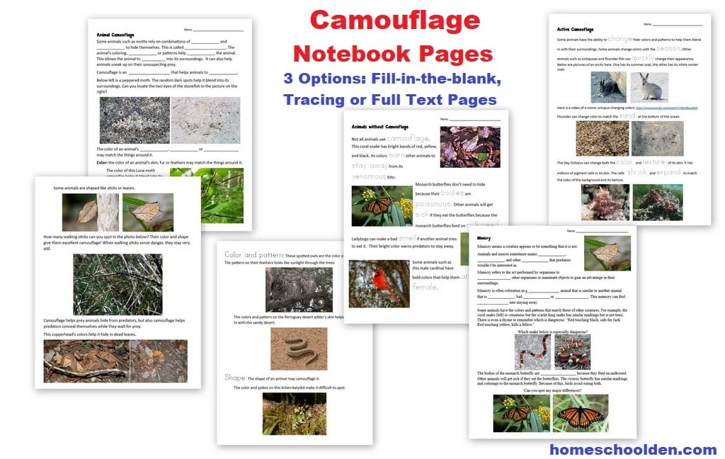 Camouflage Notebook Pages