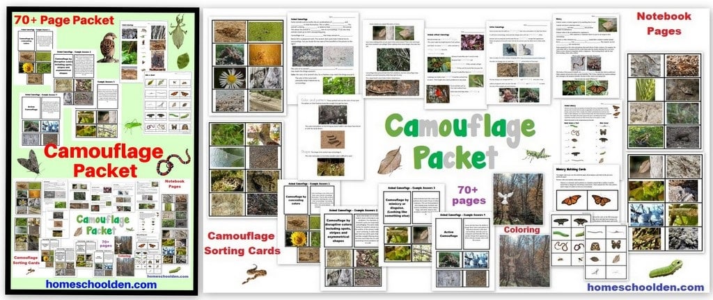 Camouflage Packet - Nature Studies Unit