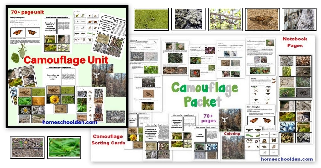 Camouflage Unit worksheets sorting cards notebook pages activities