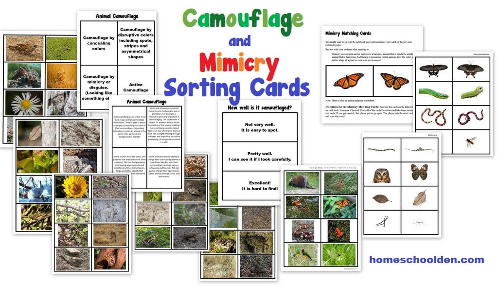 Camouflage and Mimicry Sorting Cards