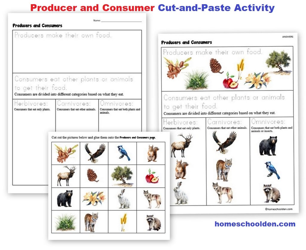 Producer and Consumer Cut and Paste Activity