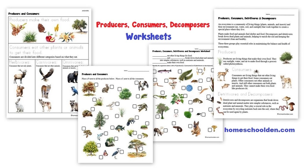 Producer consumer decomposer worksheets