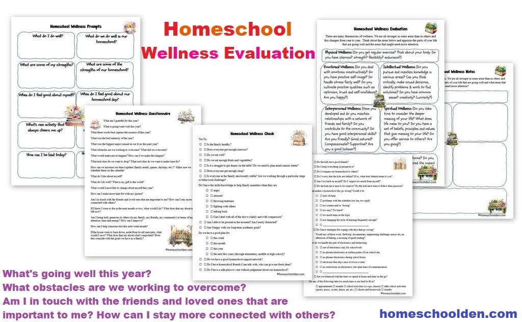 Homeschool Wellness Evaluation Packet