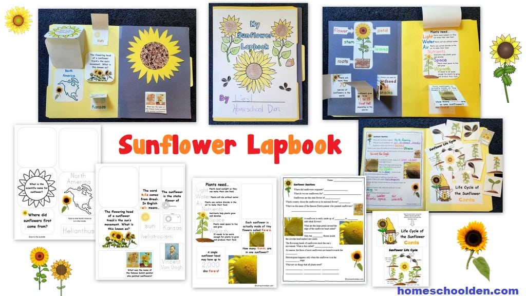 Sunflower Unit - Lapbook for early elementary