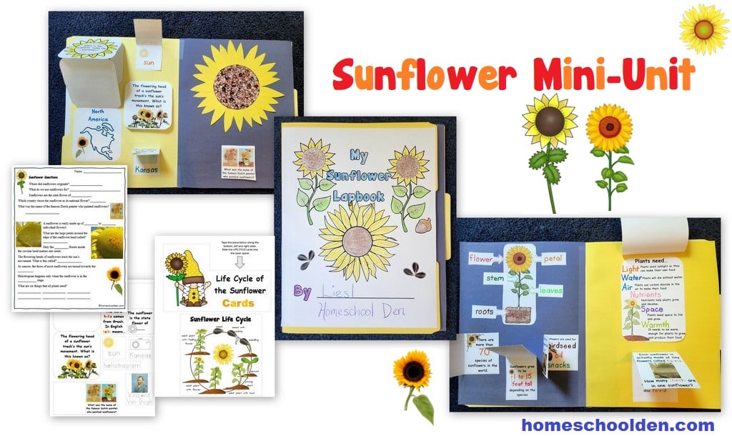 Sunflower Mini-Unit