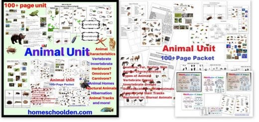 Animal Worksheet Packet