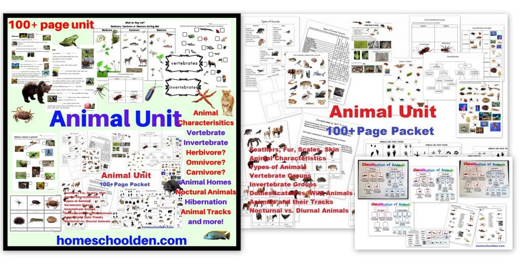 Animal Worksheet Packet