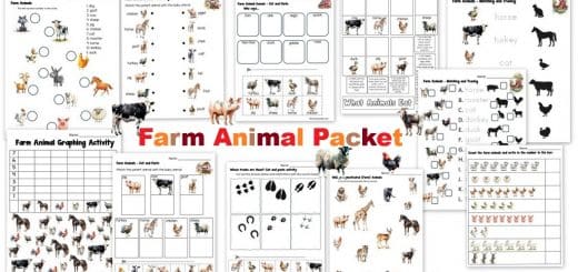 Farm Animal Worksheet Unit Packet