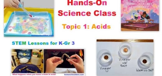 Hands-On Science Class Lesson 1 Acids