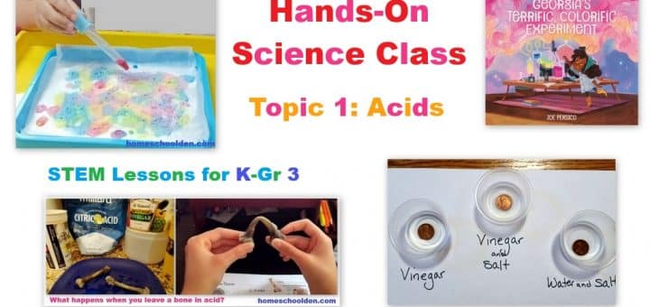 Hands-On Science Class Lesson 1 Acids