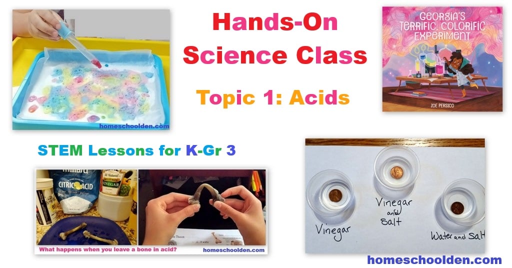 Hands-On Science Class Lesson 1 Acids