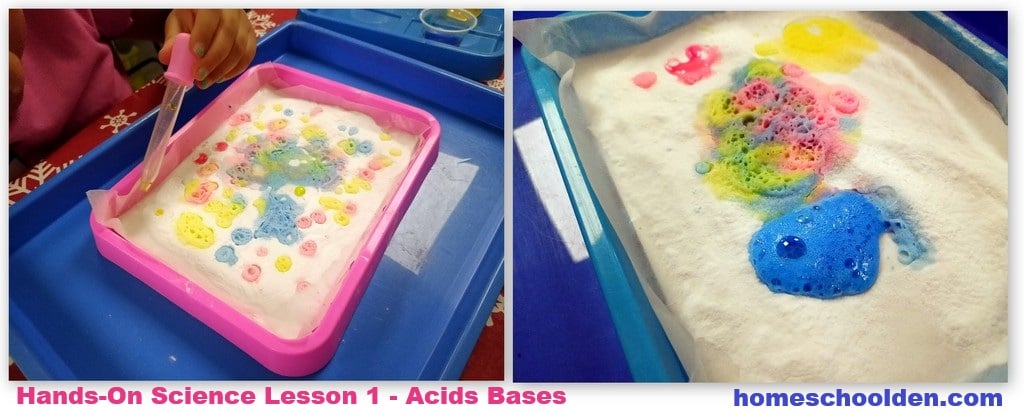 STEM Activity Acids Bases