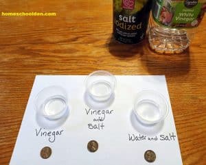Vinegar Salt Penny Experiment Setup
