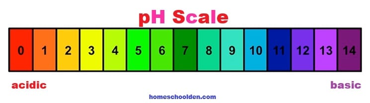 pH Scale